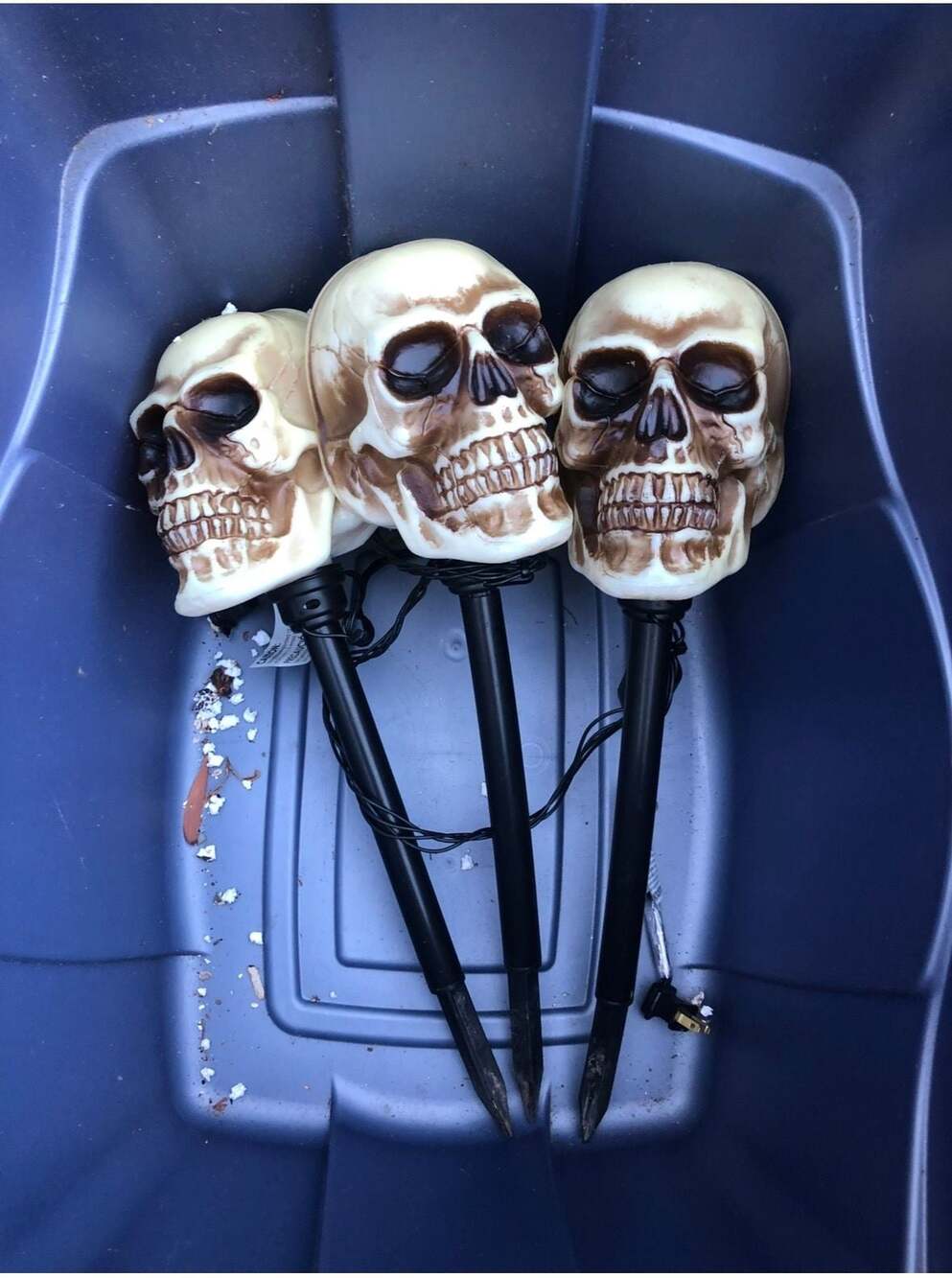 Home Depot 3-Piece Halloween Skull Pathway Stake Lights
